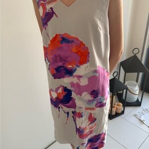 The Limited Pink and Cream Dress